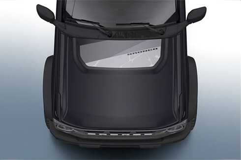 Discover Ford Bronco Accessories in PR, Ford Custom Graphics - Hood Cowl/Stripes, Geometric Design By Visco